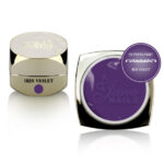 IRIS VIOLET_4925